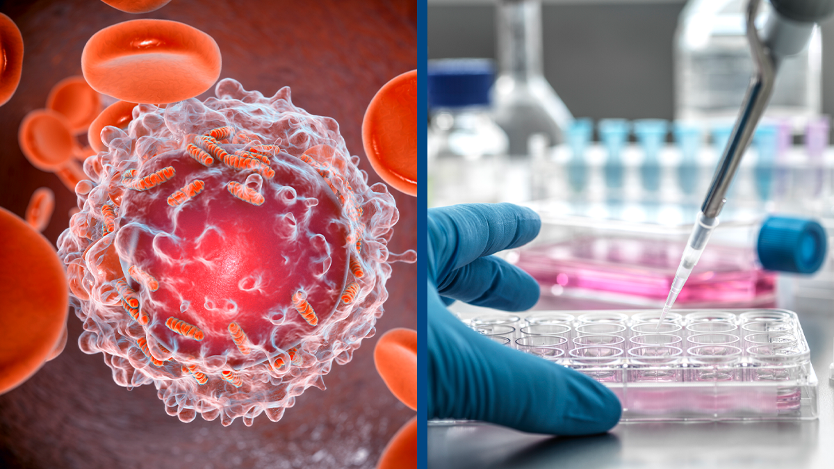 Breakthrough Cancer Cell Elimination: Rice University Scientists Achieve 99% Efficacy in Lab